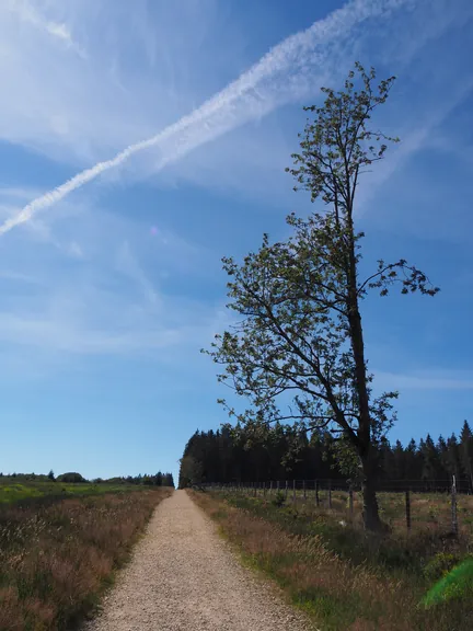 Signal de Botrange (Belgium)